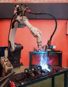 Automatic robot